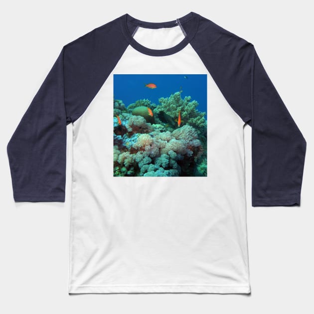 Red Sea Coral Reef Baseball T-Shirt by likbatonboot